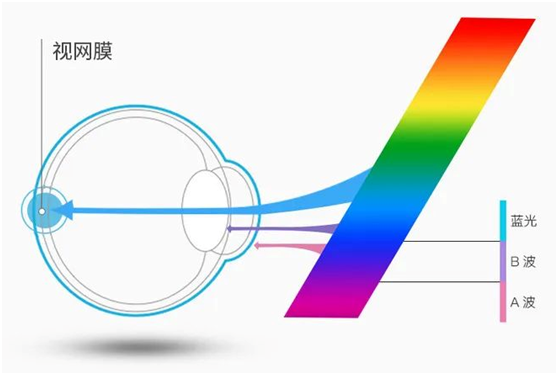 開爾照明 | 改善教室照明環境 助力孩子走上光明前程